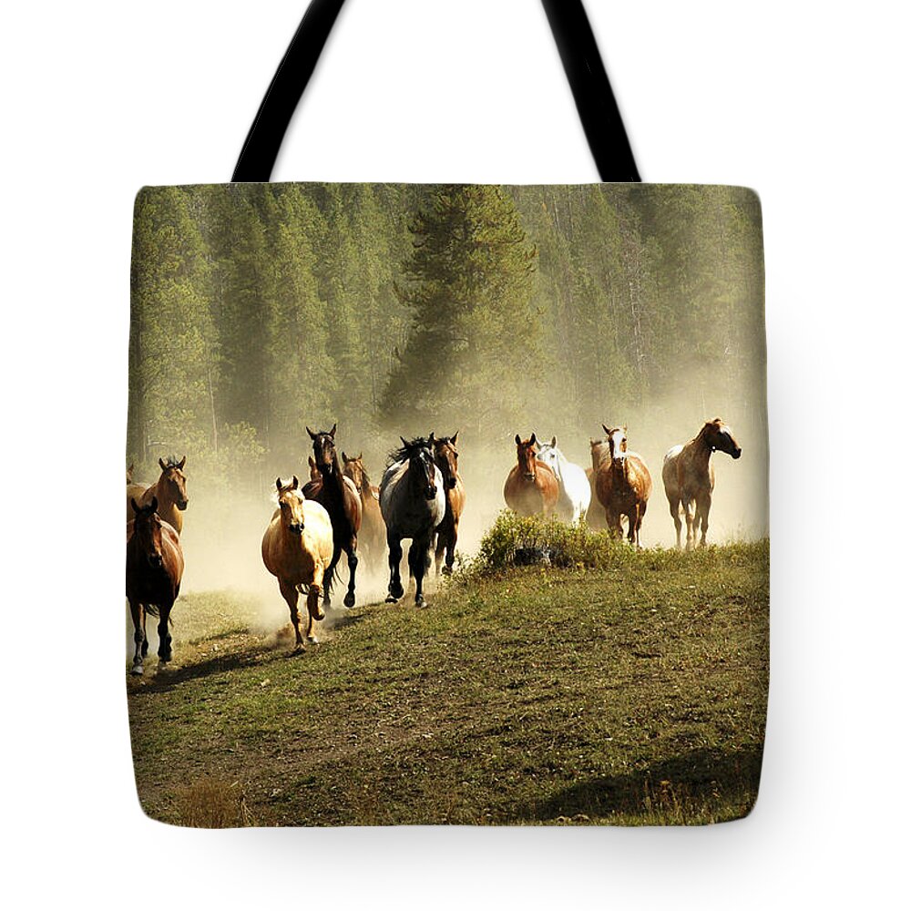 Horses Tote Bag featuring the photograph Herd of Wild Horses by Scott Read