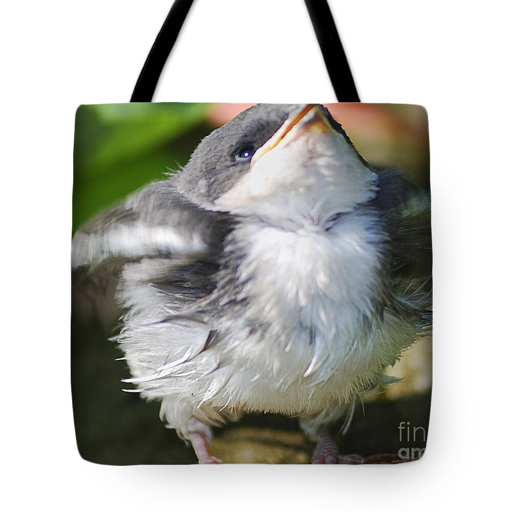 West Virginia Birds Tote Bag featuring the photograph Here Comes Mommy by Randy Bodkins