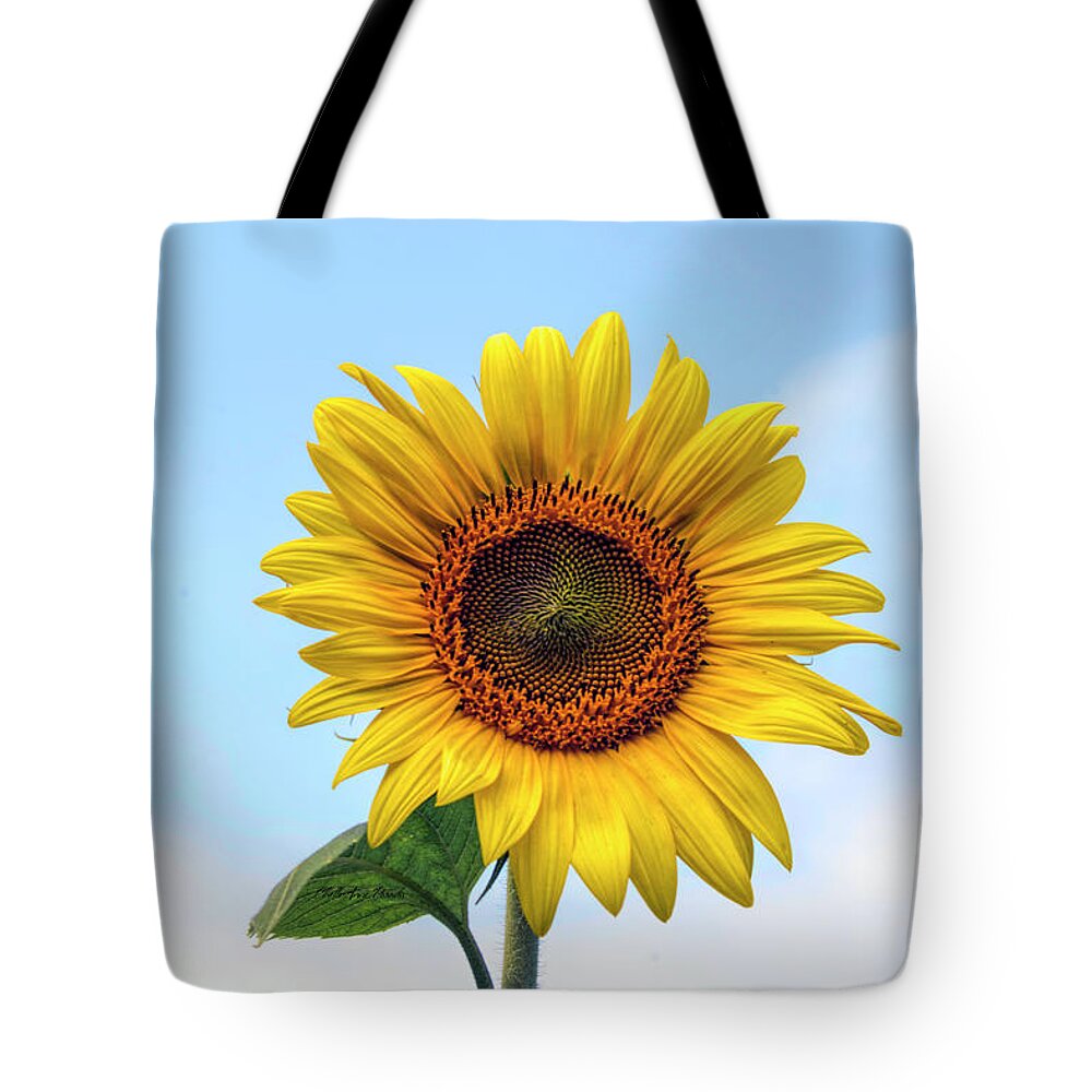  Tote Bag featuring the photograph Here comes the Sun by ChelleAnne Paradis