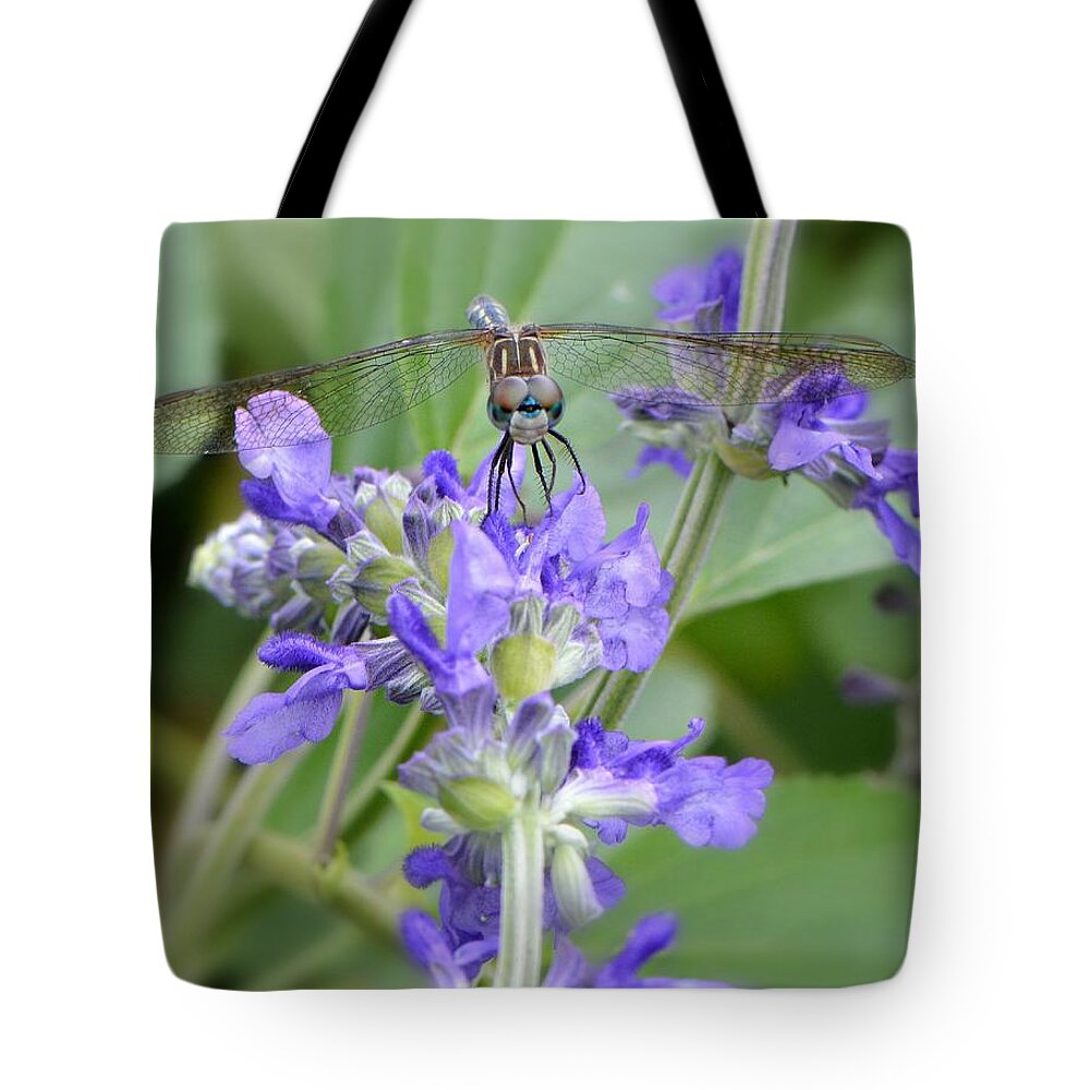 Dragonfly Tote Bag featuring the photograph Here's Looking At You Kid by Carolyn Mickulas