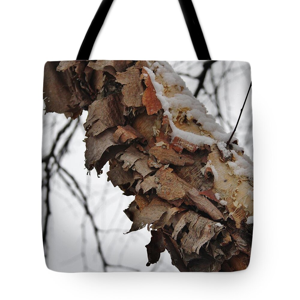 Heritage Tote Bag featuring the photograph Heritage Birch by Vadim Levin