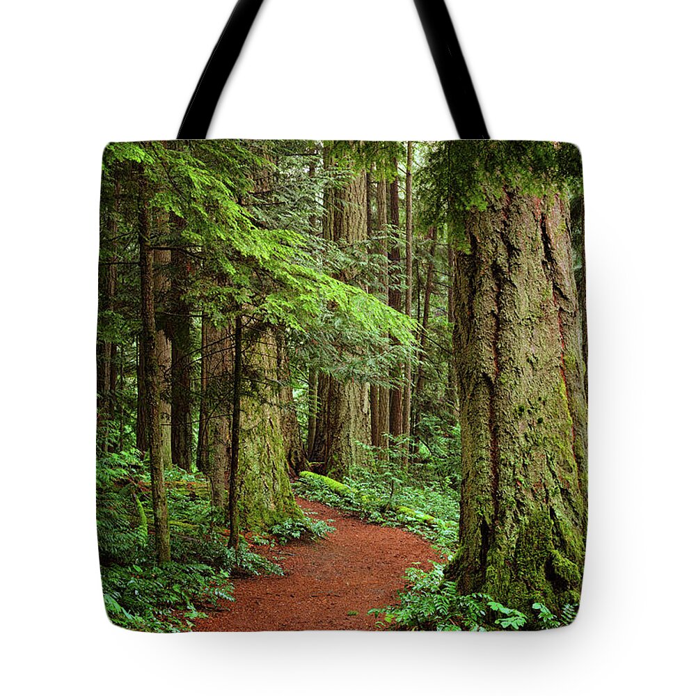 Forest Tote Bag featuring the photograph Heritage Forest 2 by Randy Hall