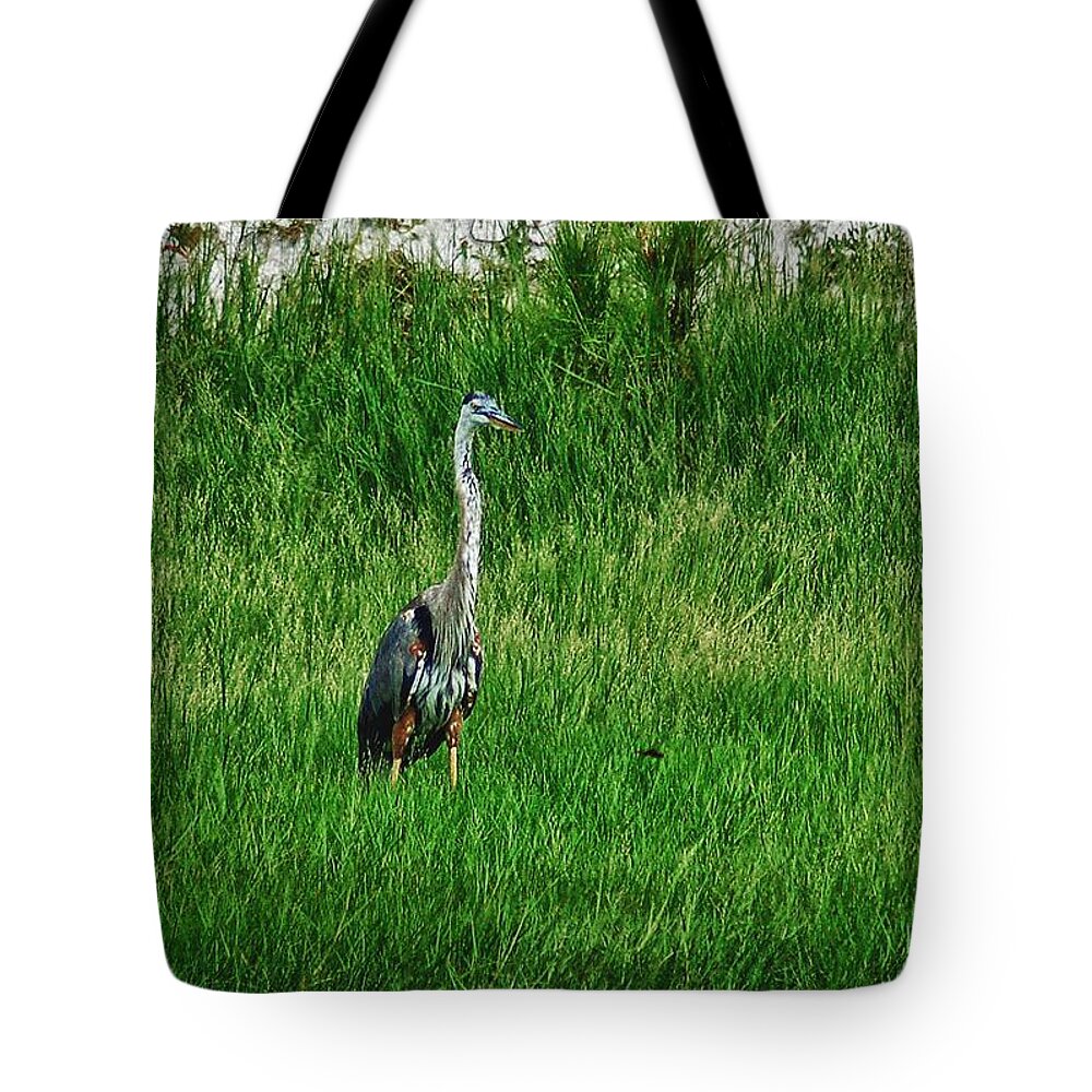 Alabama Photographer Tote Bag featuring the digital art Heron in the Grasses by Michael Thomas