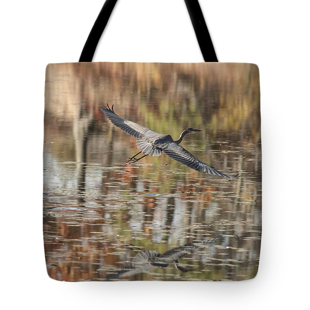 Heron Tote Bag featuring the photograph Heron of the Fall by Jean-Pierre Ducondi