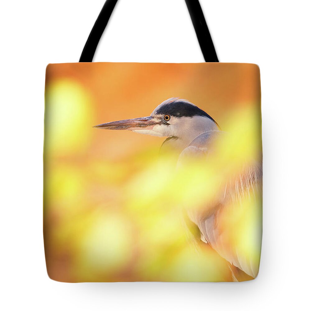 Blue Heron Tote Bag featuring the photograph Hidden Heron #2 by Roeselien Raimond