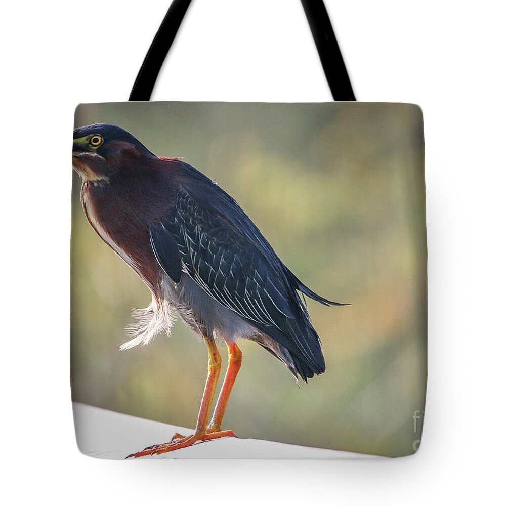 Heron Tote Bag featuring the photograph Heron with Ruffled Feathers by Tom Claud