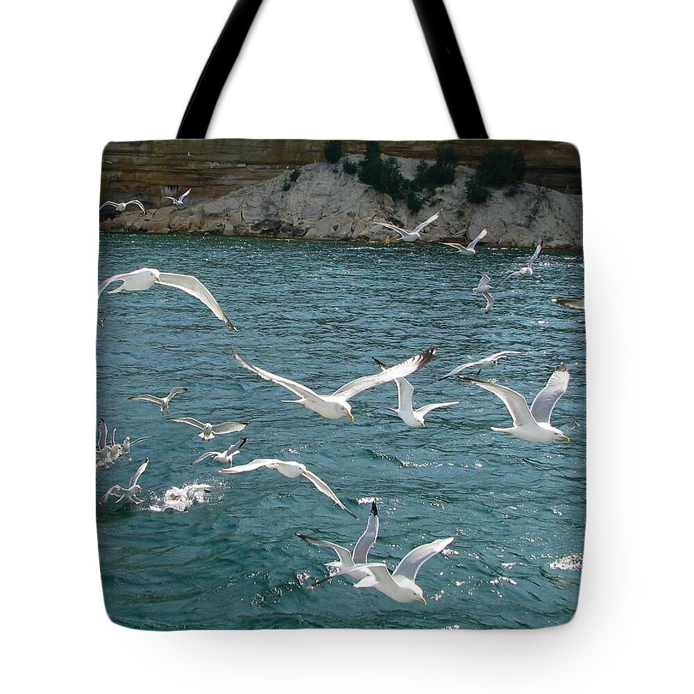 Pictured Rocks National Lakeshore Tote Bag featuring the photograph Herring Gulls at Pictured Rocks by Keith Stokes