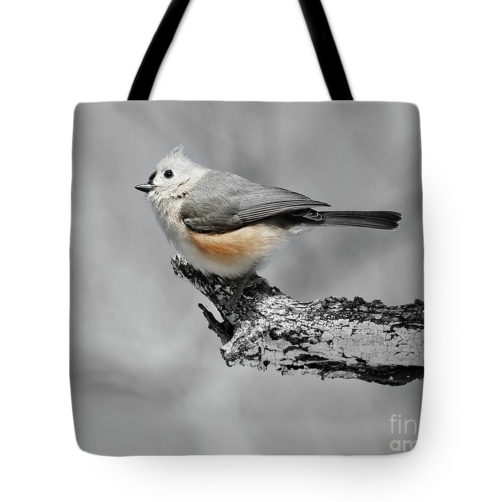 Christian Tote Bag featuring the photograph He's So Pretty by Anita Oakley