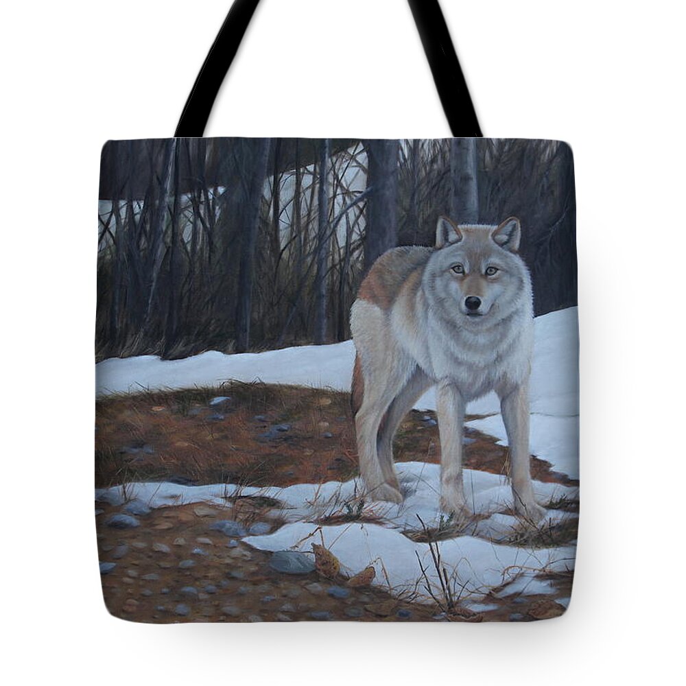 Timber Wolf Tote Bag featuring the painting Hesitation by Tammy Taylor