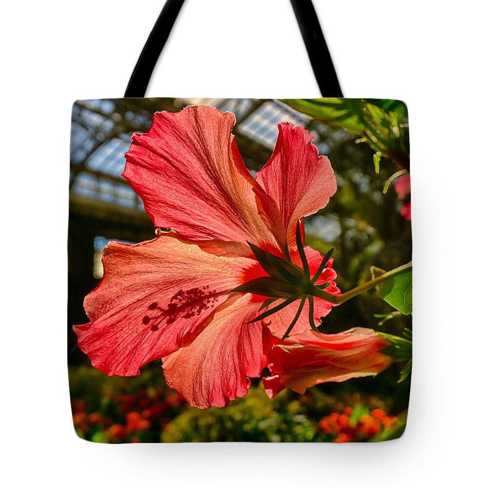 Longwood Tote Bag featuring the photograph Hibiscus by Amanda Jones