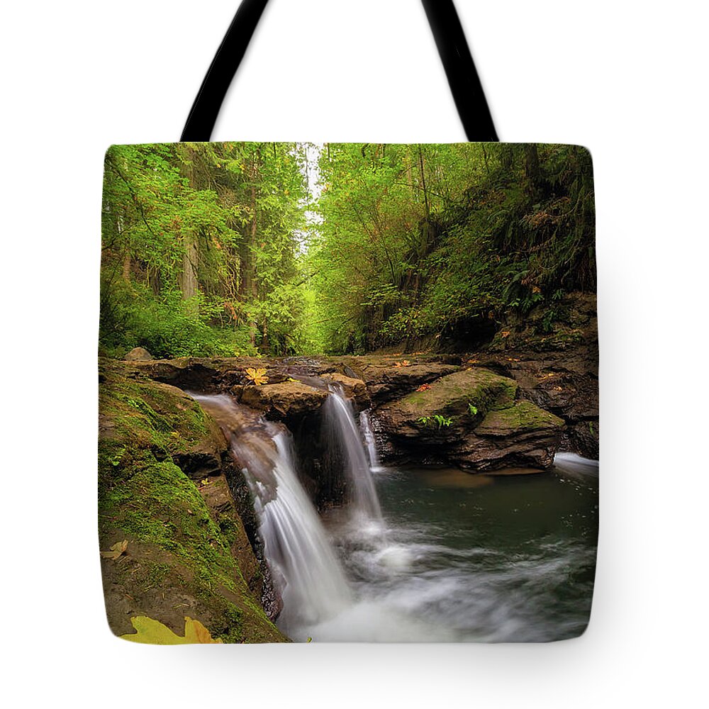 Hidden Falls Tote Bag featuring the photograph Hidden Falls at Rock Creek by David Gn
