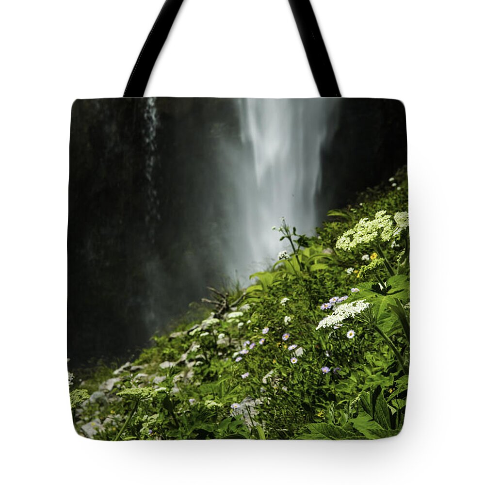Waterfall Tote Bag featuring the photograph Hidden Waterfall by Doug Scrima