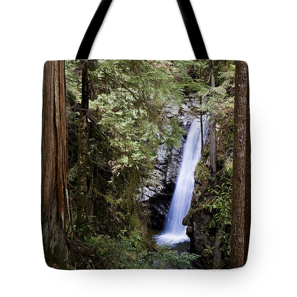 Canada Tote Bag featuring the photograph Hidden Within a Forest by Windy Corduroy