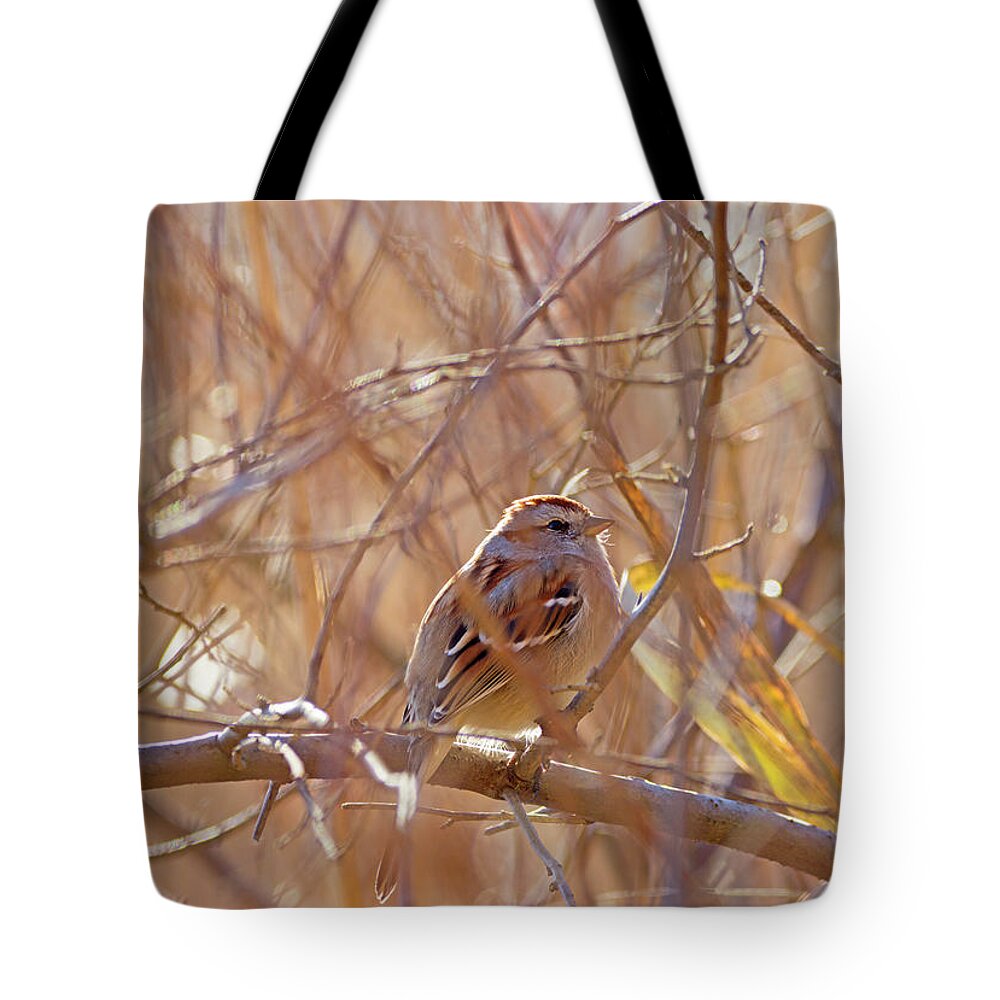 Bird Tote Bag featuring the photograph Hidding in plain sight - Field Sparrow - Spizella pusilla by Spencer Bush