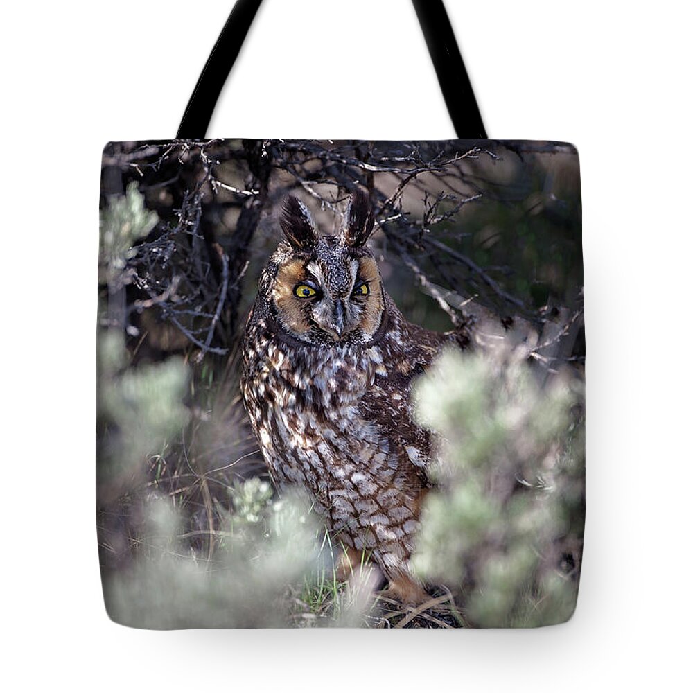 Owl Tote Bag featuring the photograph Hide and Seek by Eilish Palmer