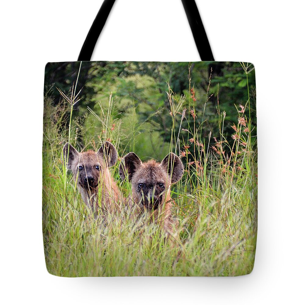 Hyena Tote Bag featuring the photograph Hide-n-Seek Hyenas by Gaelyn Olmsted