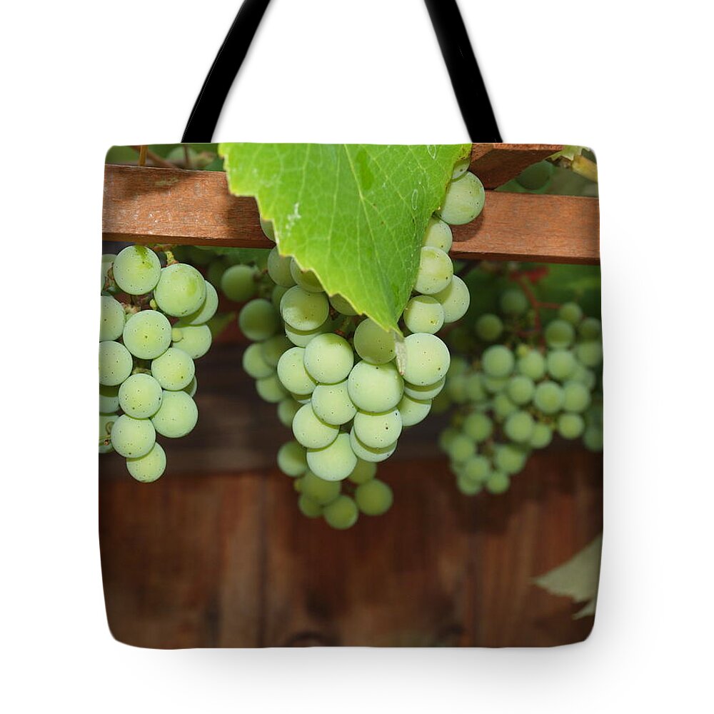 Grapes Tote Bag featuring the photograph Hiding Behind The Leaves by Robert Margetts
