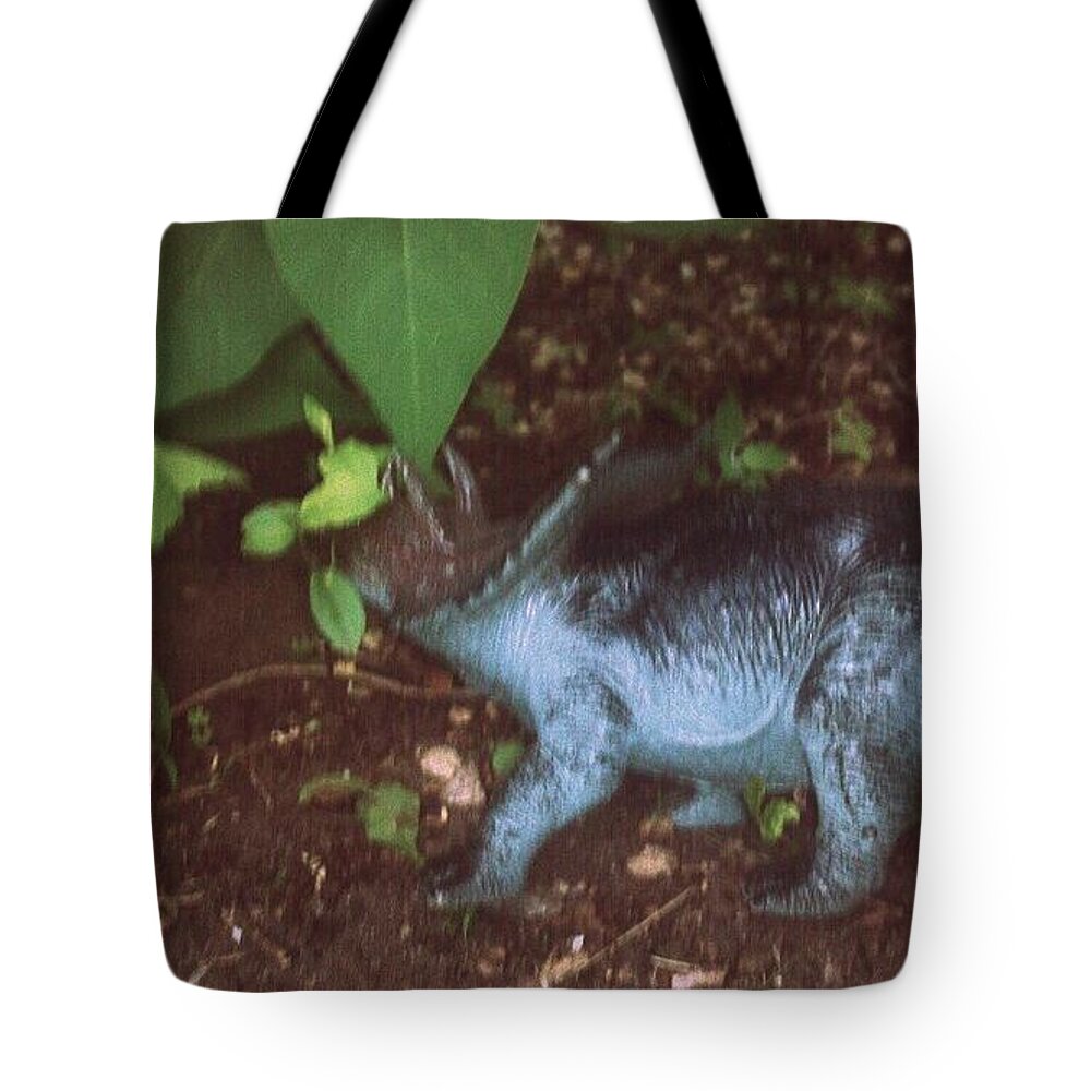 Dinosaur Tote Bag featuring the photograph Hiding Dion by Jana E Provenzano