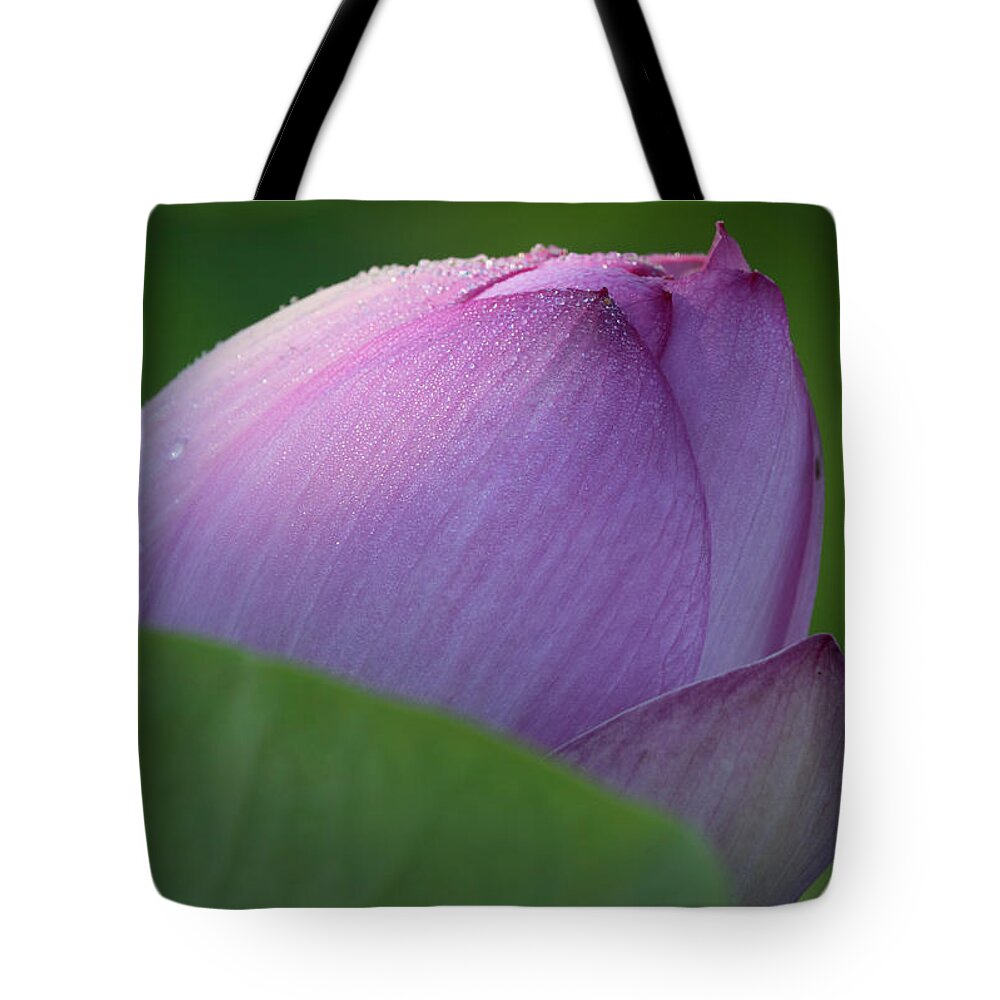 Lotus Tote Bag featuring the photograph Hiding Lotus by Jack Nevitt