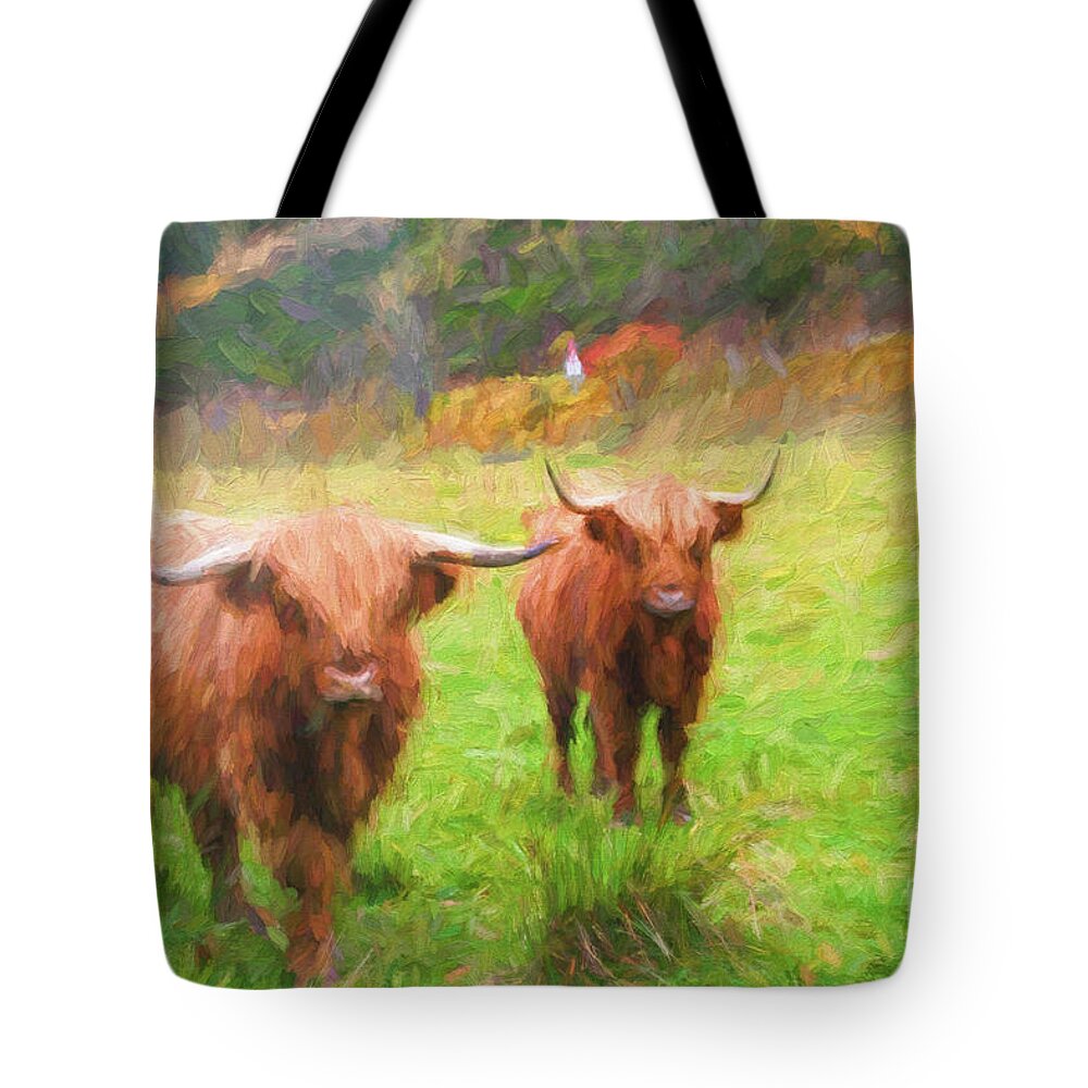 Two Tote Bag featuring the photograph Heilan Coos by Diane Macdonald