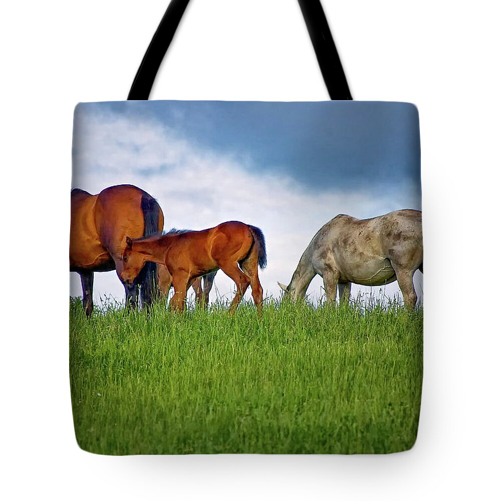 Landscape Tote Bag featuring the photograph High Browsers by Steve Harrington