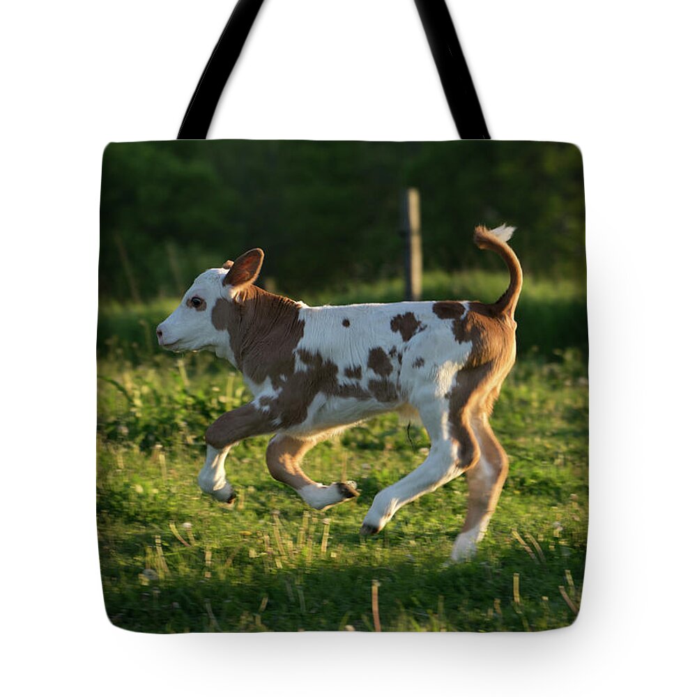High-tailing It Back Tote Bag featuring the photograph High-Tailing it Back by Brooke Bowdren