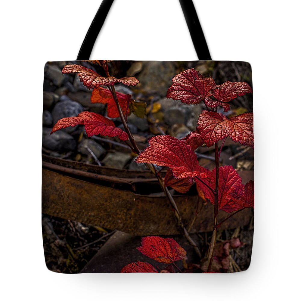Plant Tote Bag featuring the photograph Highbush Cranberry Leaves by Fred Denner
