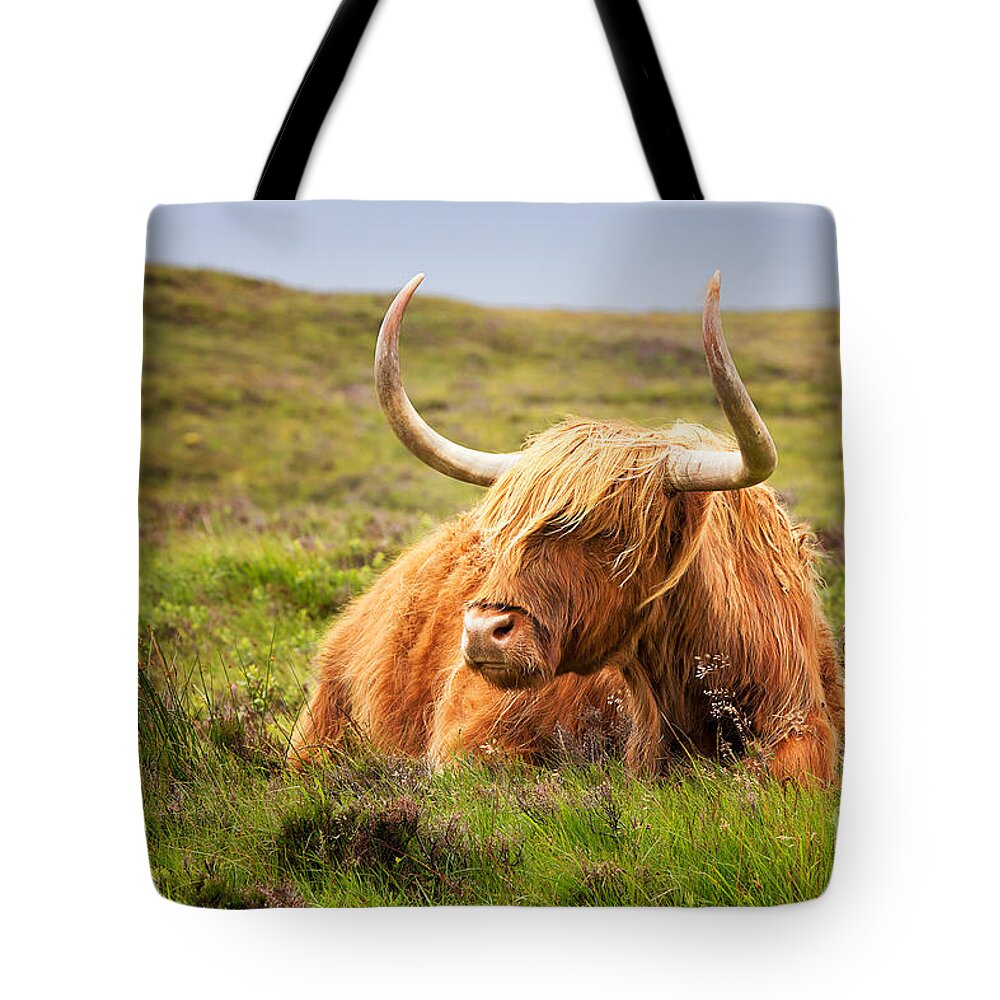 Highland Tote Bag featuring the photograph Highland cow by Jane Rix