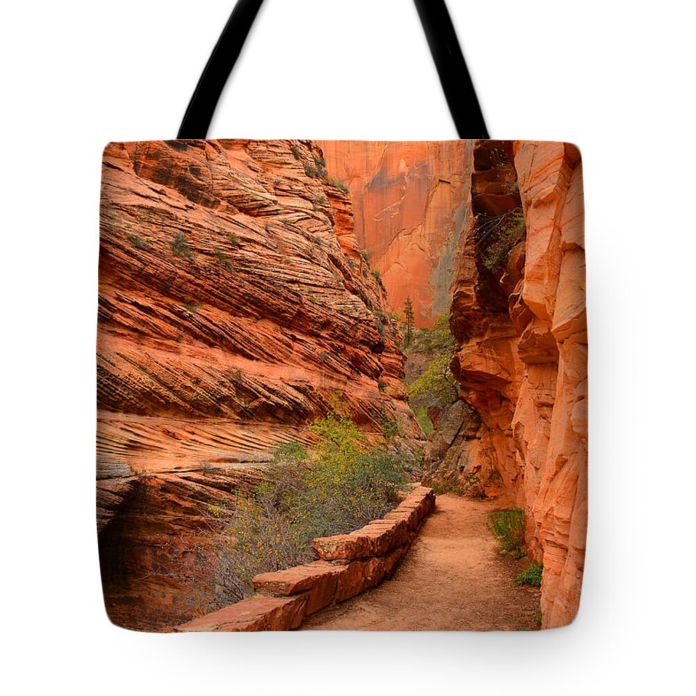 Hike To Observation Point In Zion National Park Tote Bag featuring the photograph Hike to Observation Point by Raymond Salani III