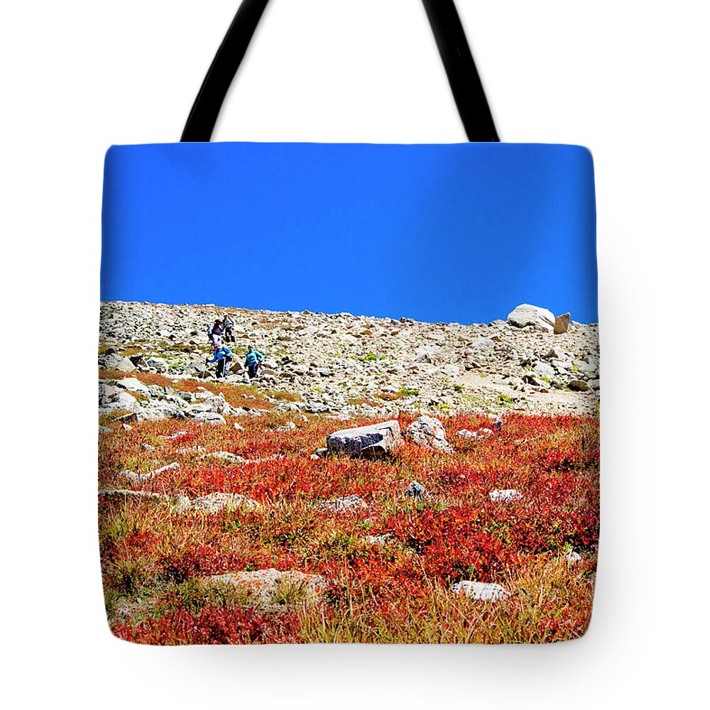 Mount Yale Tote Bag featuring the photograph Hikers and Autumn Tundra on Mount Yale Colorado by Steven Krull