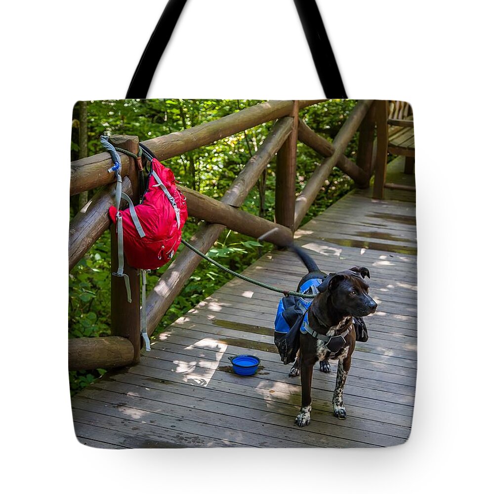 Dog Tote Bag featuring the photograph Hiking Buddy by Kevin Craft