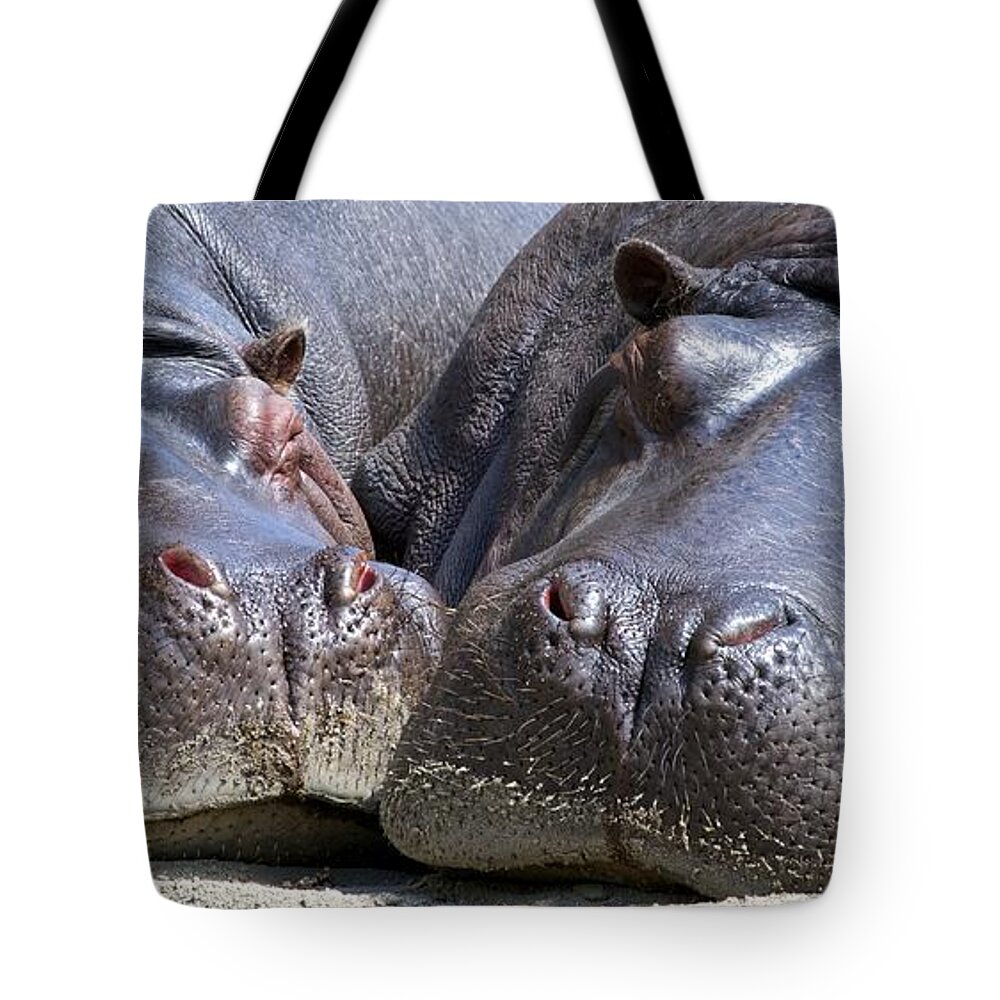 Hippo Tote Bag featuring the digital art Hippo by Maye Loeser