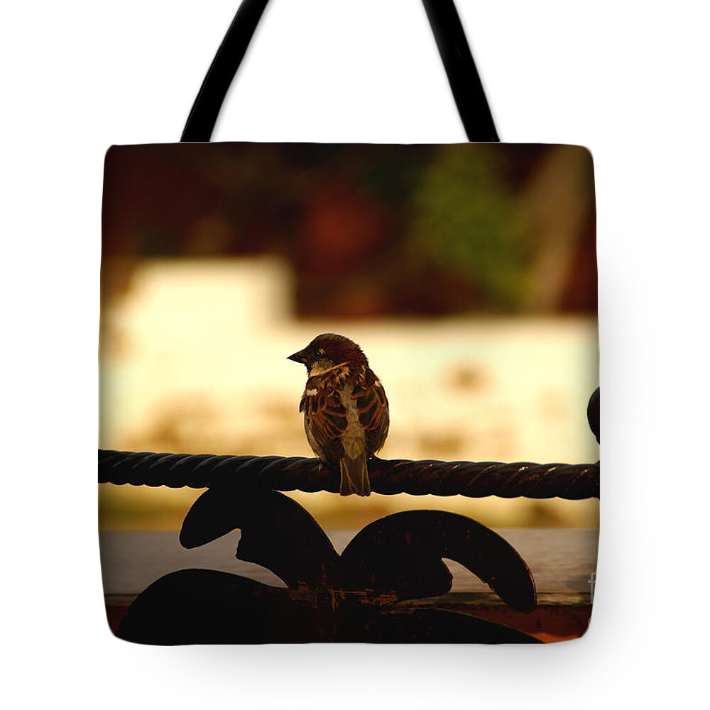 Bird Tote Bag featuring the photograph His Eye Is On The Sparrow by Linda Shafer
