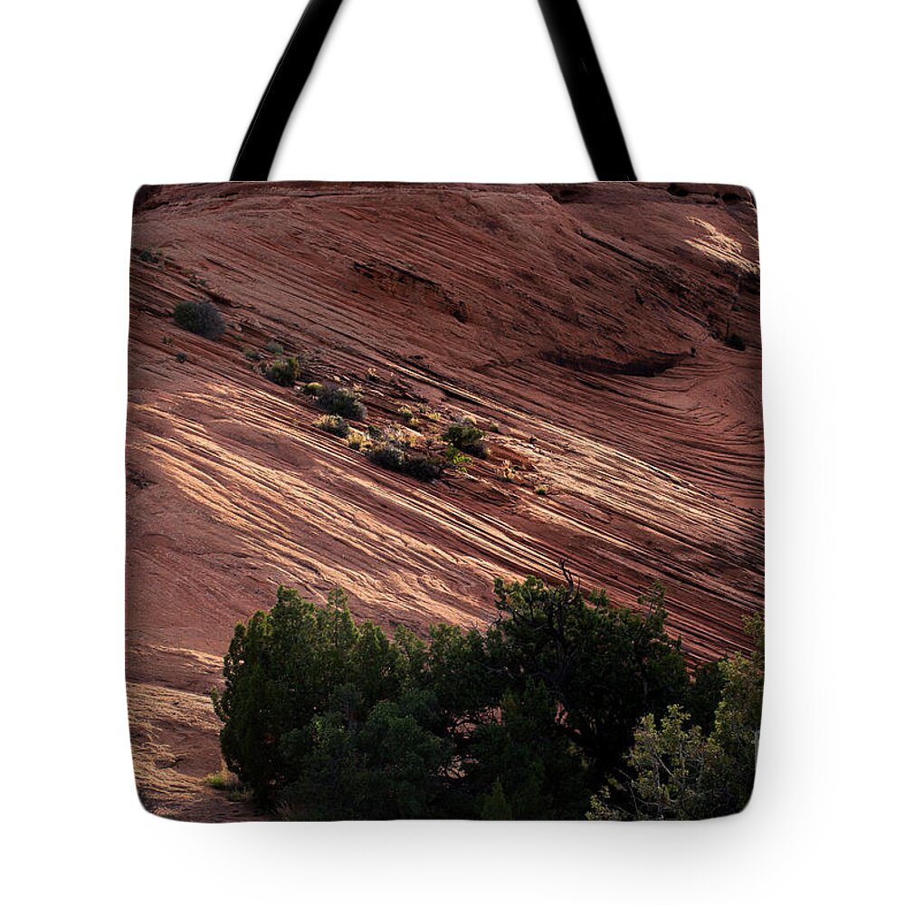 Utah Tote Bag featuring the photograph Splashes of Sunlight by Jim Garrison