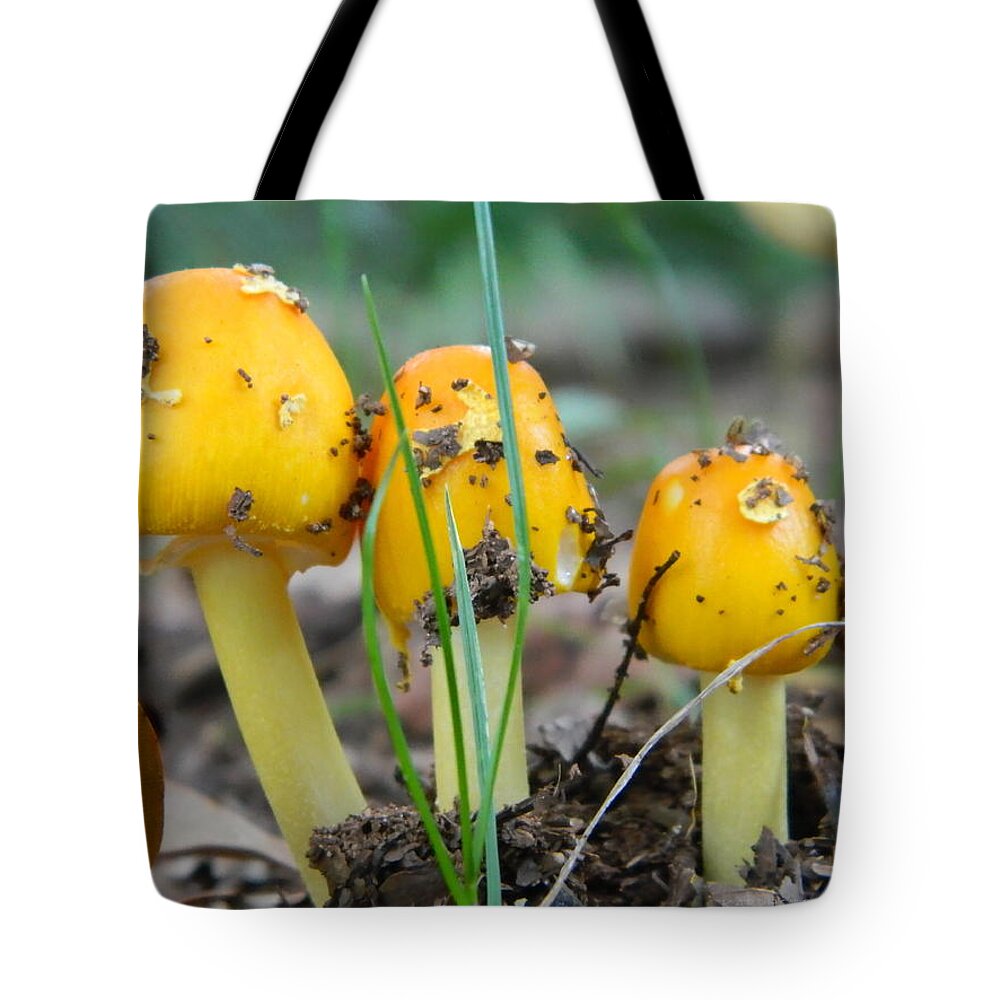 Toadstools Tote Bag featuring the photograph Hobbits Delight or Bright Golden Yellow Mushroom  by Kathy Barney