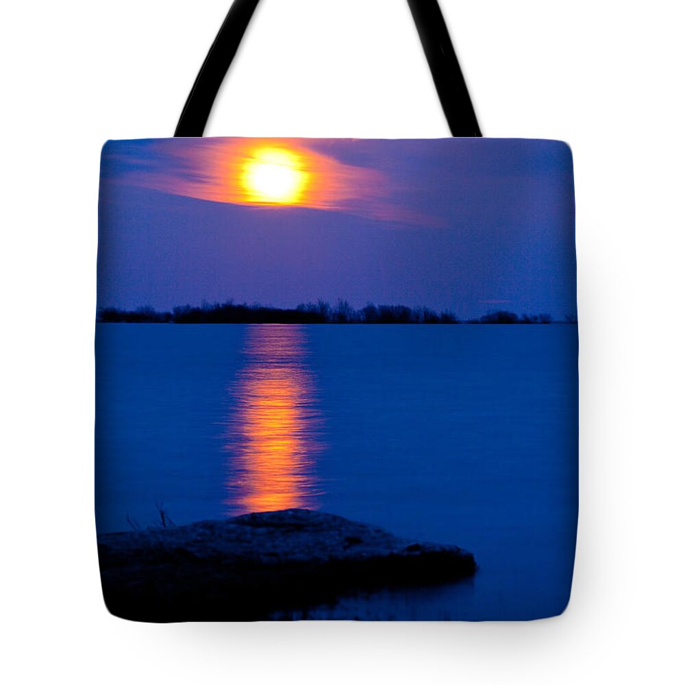 Winter Tote Bag featuring the photograph hog Island by David Heilman
