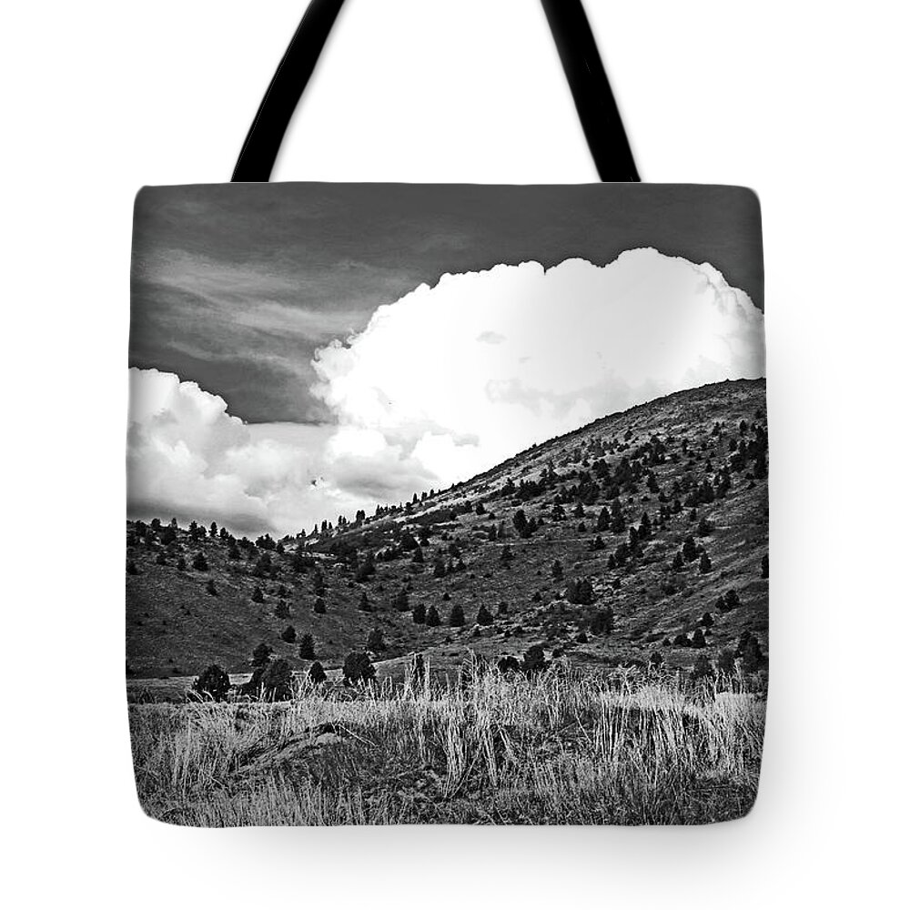 Hogsback Tote Bag featuring the photograph Hogs Back Mountain by Dr Janine Williams