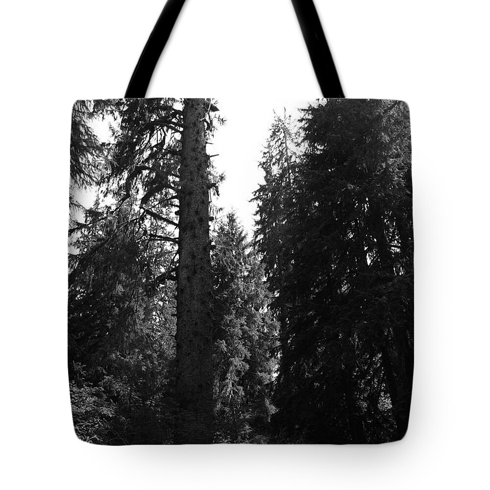 Unique Tote Bag featuring the photograph Hoh VW by Dylan Punke