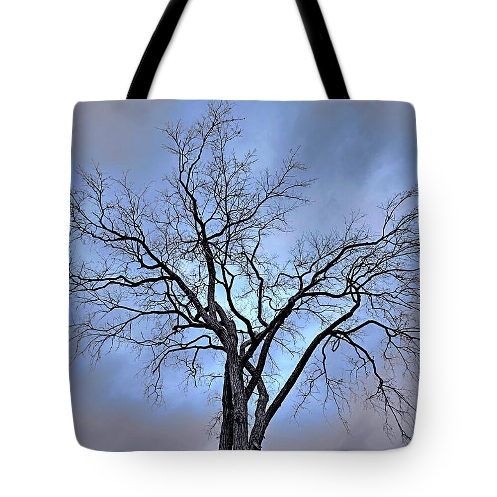 Sky Tote Bag featuring the photograph Hole in the grey sky by Brian Pflanz