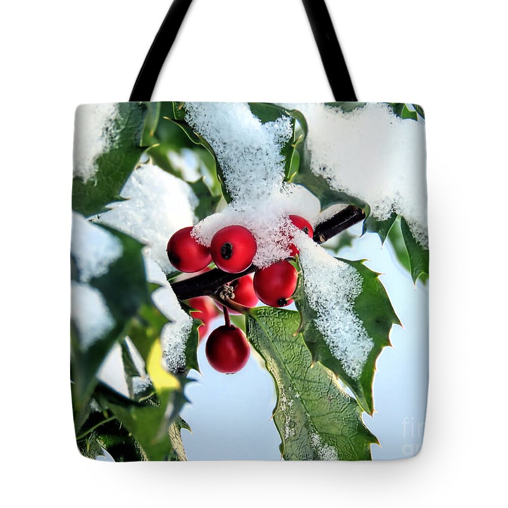 Holly Tote Bag featuring the photograph Holly Branch by Janice Drew