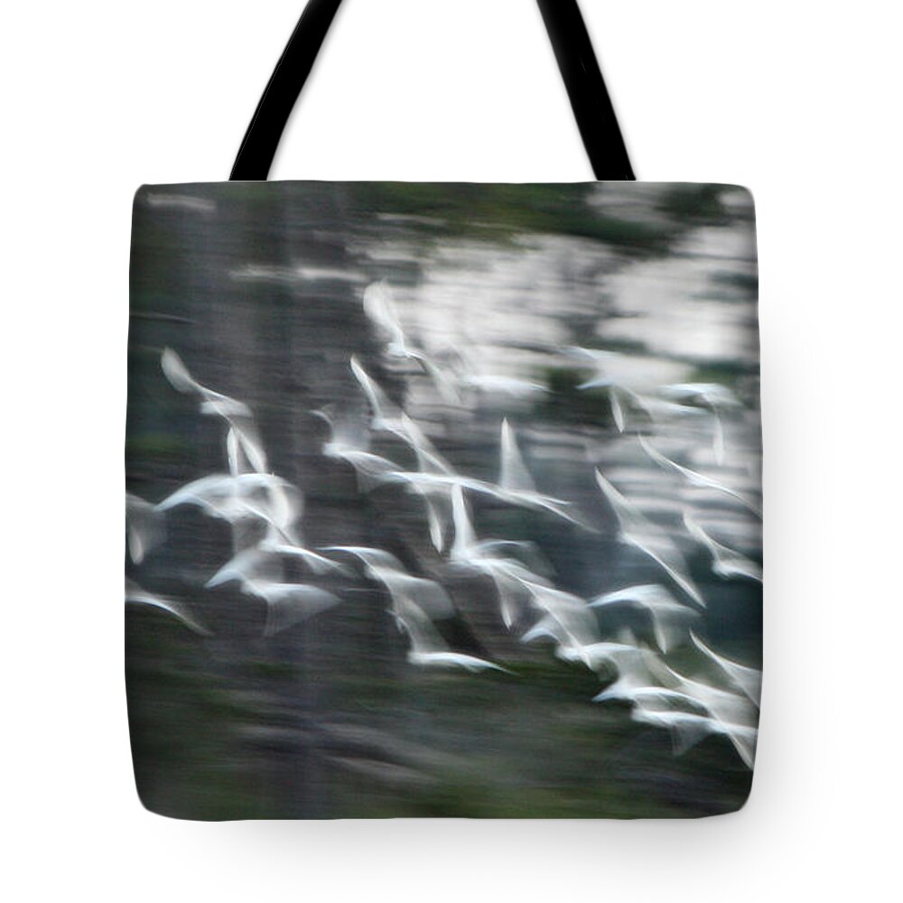 Birds Tote Bag featuring the photograph Holy Ghost by Captain Debbie Ritter