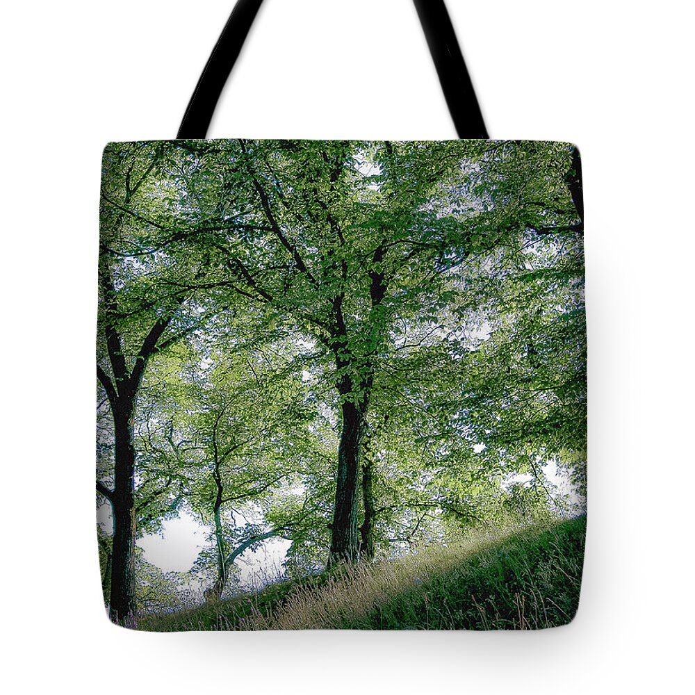 Europe Tote Bag featuring the photograph Homage to Carl Larsson by KG Thienemann