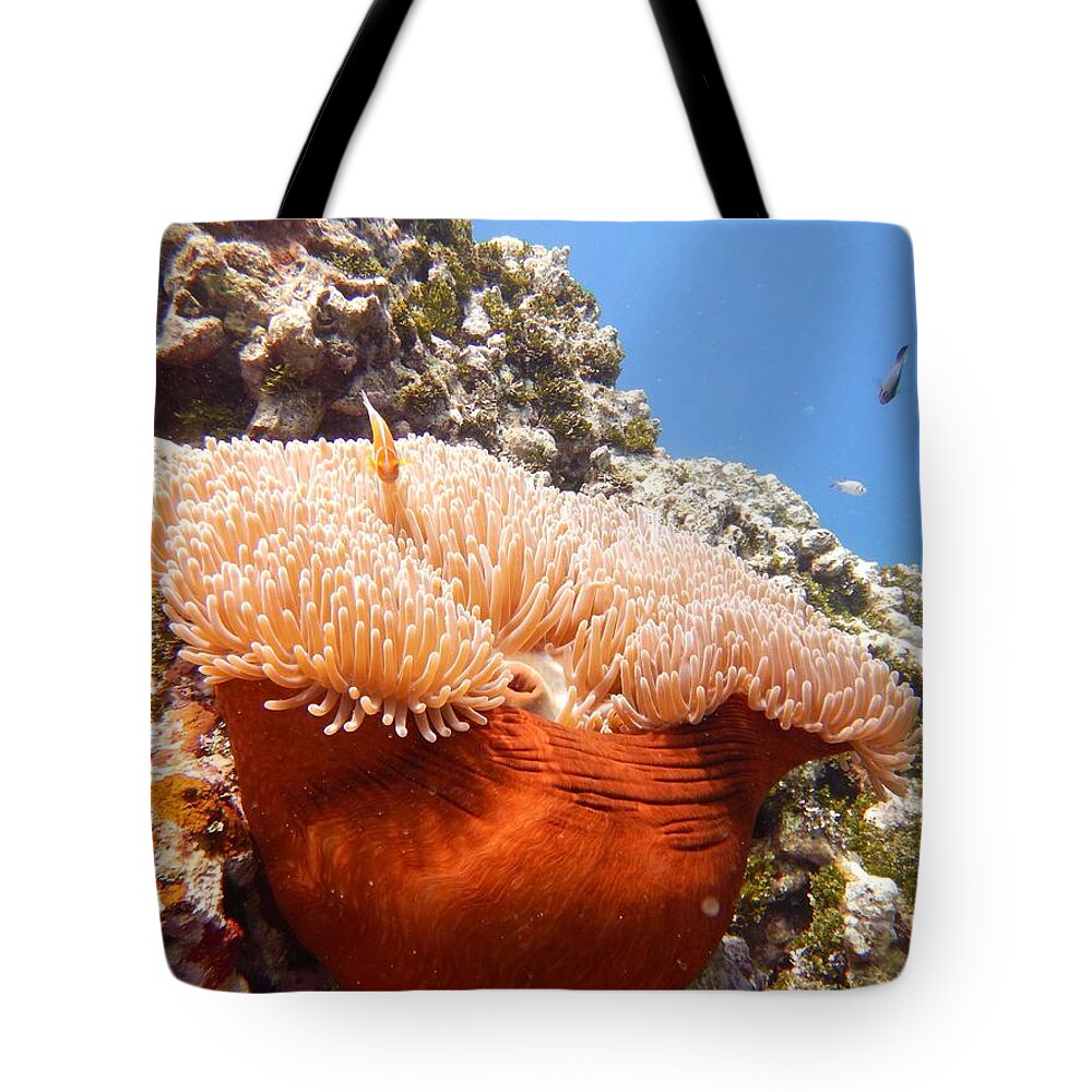 Clown Tote Bag featuring the photograph Home of the Clown Fish by Michael Scott