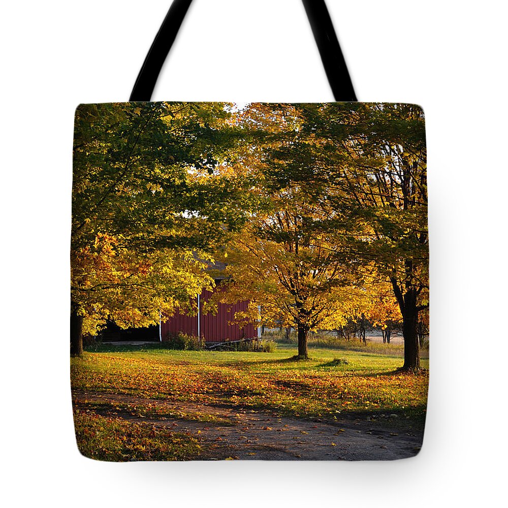 Fall Tote Bag featuring the photograph Homecoming by Tim Nyberg