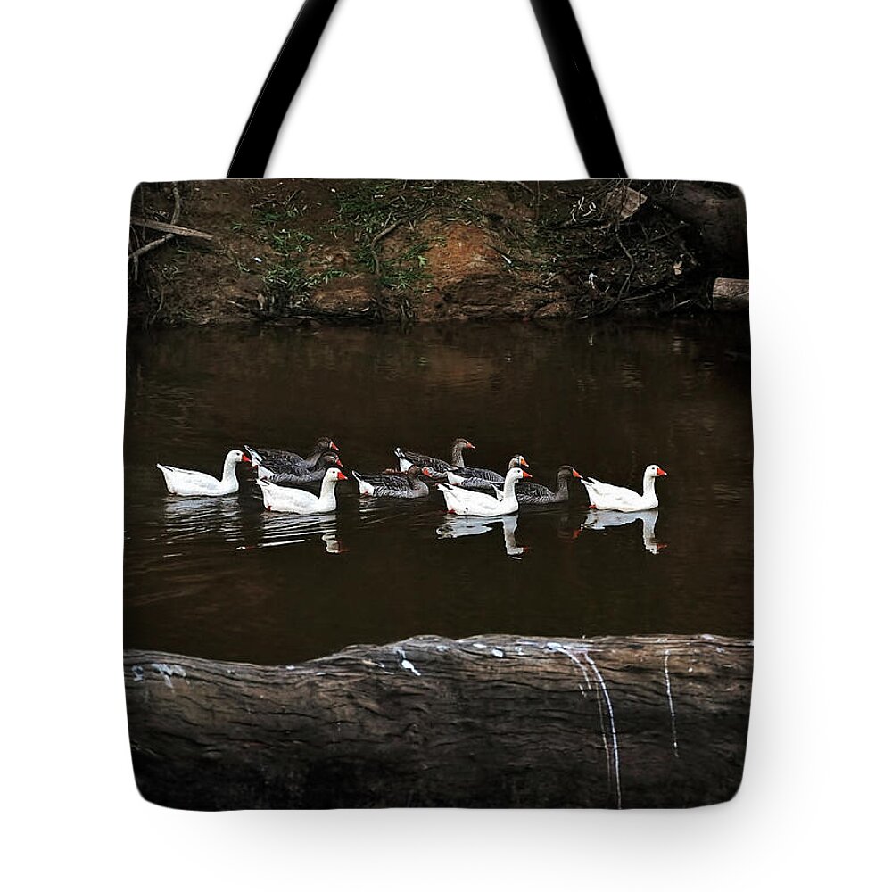 Photography Tote Bag featuring the photograph Homeward Bound by Kaye Menner