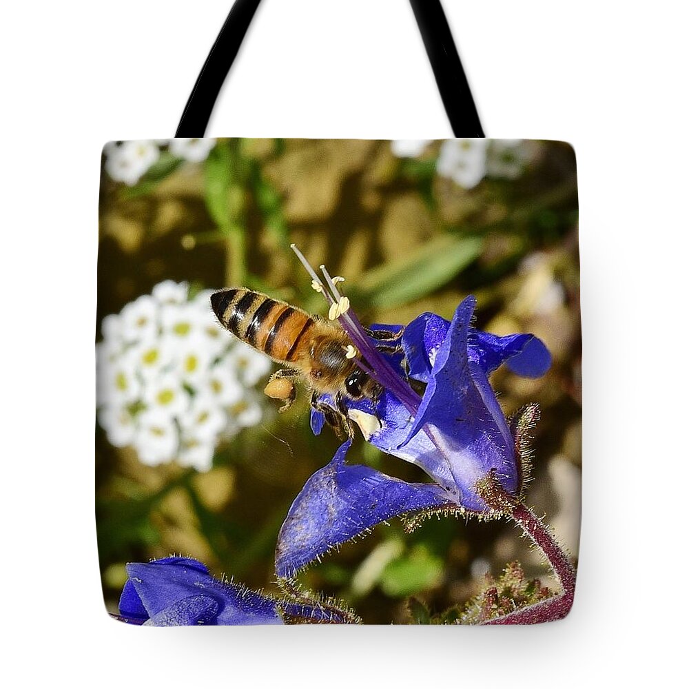 Linda Brody Tote Bag featuring the photograph Honey Bee on California Bluebell Wildflower by Linda Brody