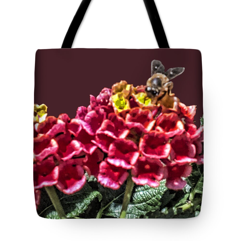 Honey Bee On Flower Tote Bag featuring the photograph Honey Bee on Flower by Daniel Hebard