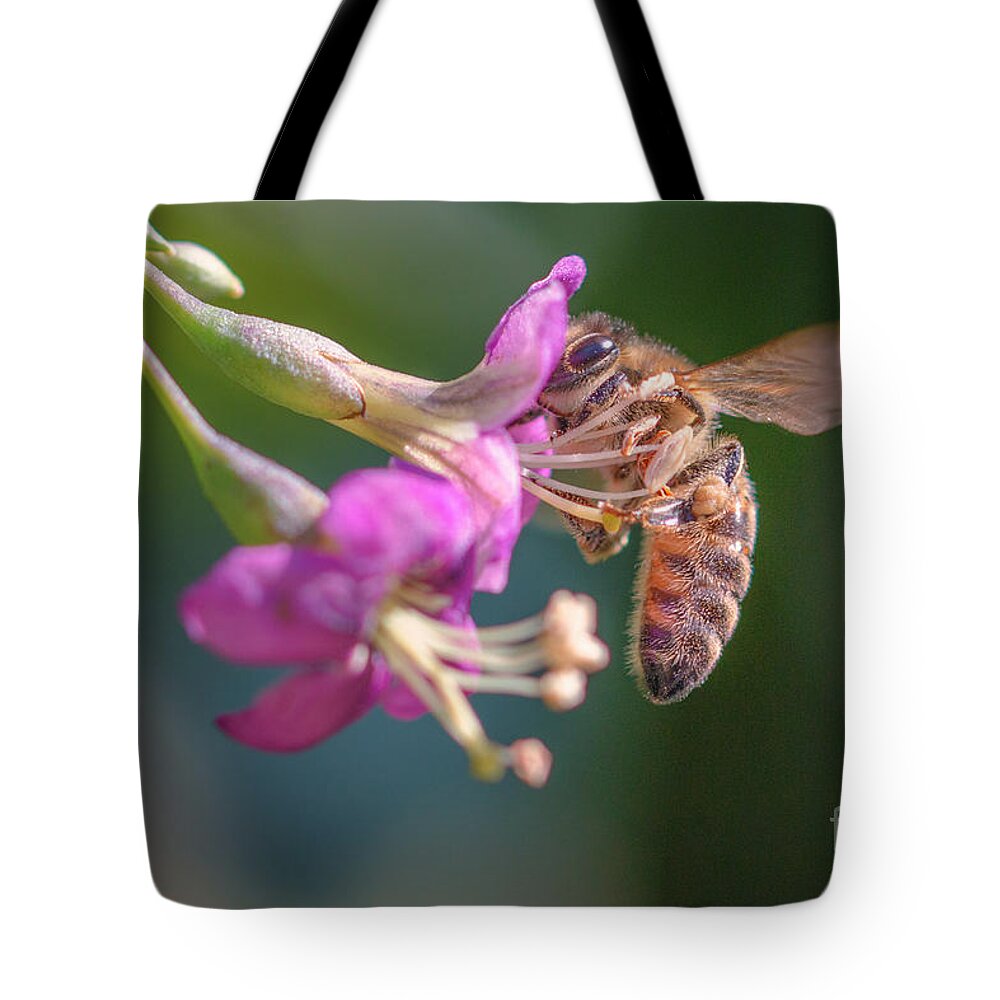 Animal Tote Bag featuring the photograph Honey bee on Goji berry flower by Jivko Nakev