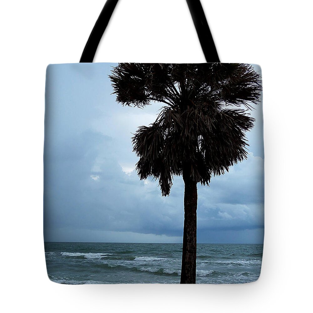 Landscape Photography Tote Bag featuring the photograph Honey Moon Island North Beach Palm 000 by Christopher Mercer