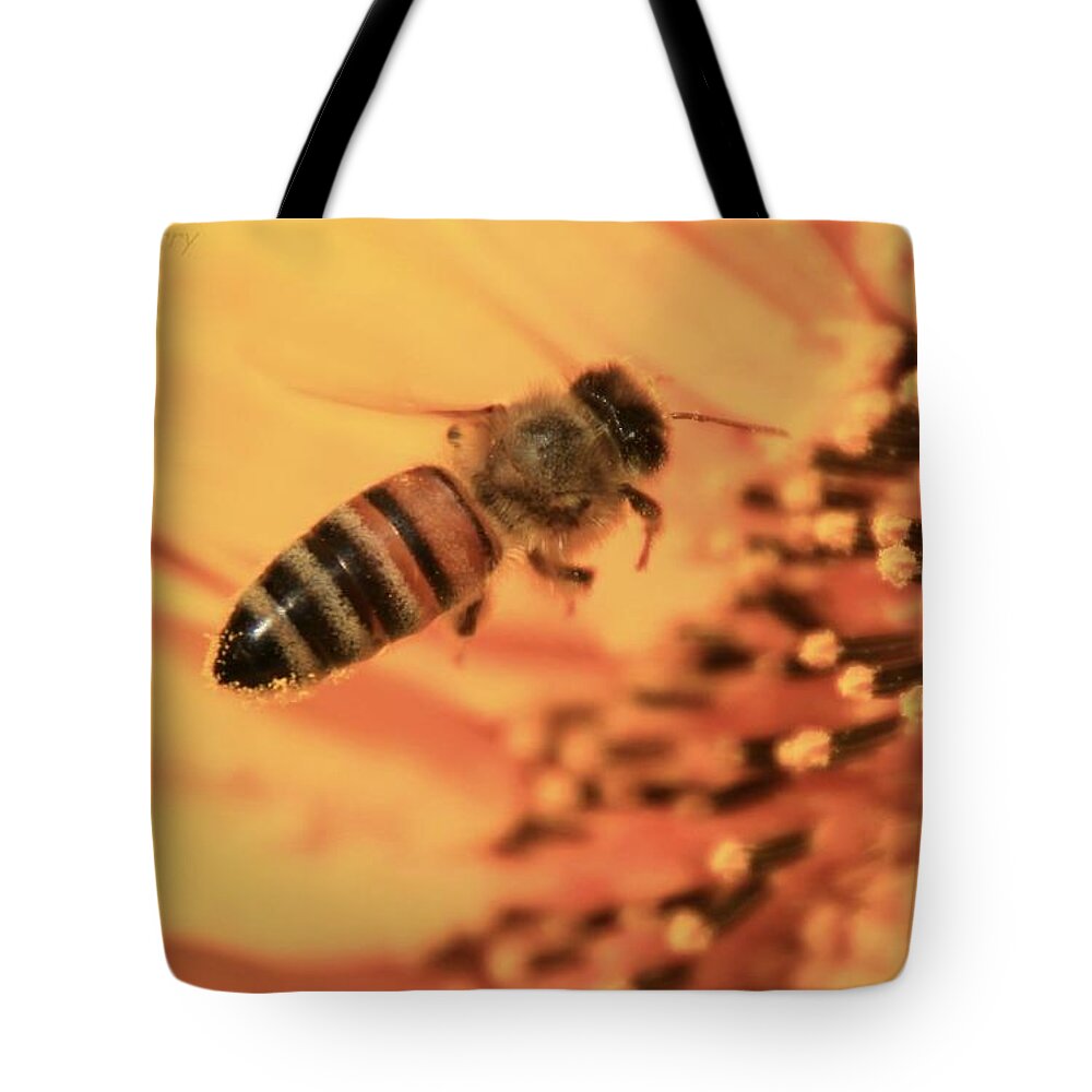 Grinter Tote Bag featuring the photograph Honeybee and Sunflower by Chris Berry